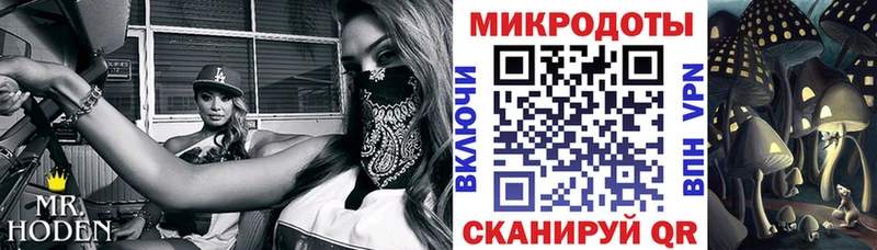 Псилоцибиновые грибы Cubensis  Заринск 